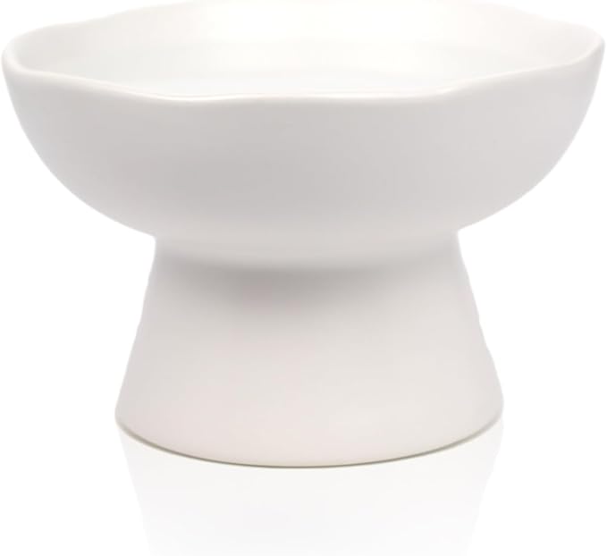 6.1" Wide 1.57" Deep Elevated Cat Water Bowls, Ceramic Raised Food Plate,Cat Feeder,Anti Vomiting Whisker Fatigue,White