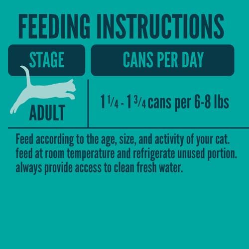 A Strong Heart Canned Wet Cat Food, Turkey & Cheese Dinner in Gravy - 5.5 oz Cans (Pack of 24), Made in The USA with Real Turkey