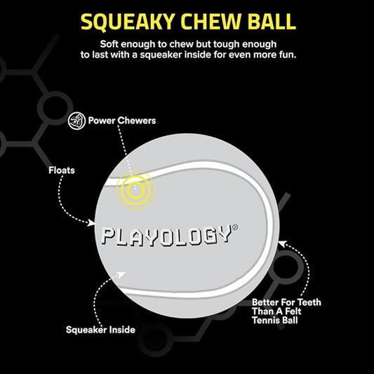 Playology Dog Toys | Squeaky Chew Ball - Squeaky and Bouncy Durable Floating Fetch Ball for Dogs (Value 2-Pack) | Medium Bacon Scented Toy - Easy to Clean and Made from Non Toxic Materials