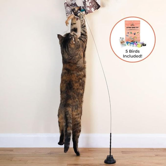 Interactive Catnip Bird Toy Set (5 Replacement Catnip Birds)