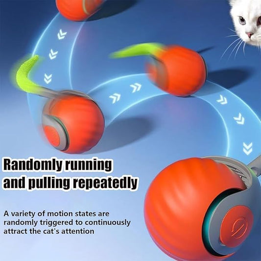 Interactive Cat Toys for Indoor Cats, Automatic Cat Toy with Tail, Electric Rolling Ball on Carpet,Cat Toys for Bored Indoor Adult Cats