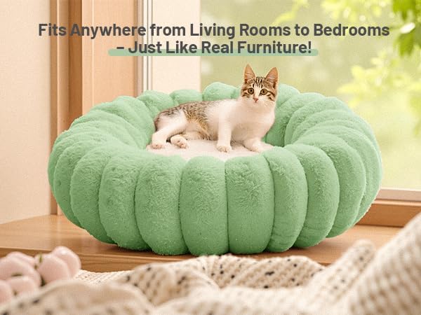 Cat Bed for Indoor Cats Fluffy Cat Sofa Recliner with Removable Washable Cover Cute Pet Lounge Suitable for Puppy Kitten