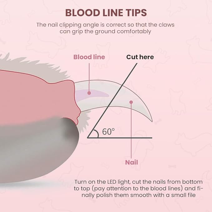 LED Pet Nail Clippers,Upgrade Cat Nail Clipper with Light,Cat Claw Trimmer Nail Clippers for Dogs,Trim Your Pets Nails Easy and Pain-Free Grooming Tool for Small Animals (Pink+Blue 1PCS)