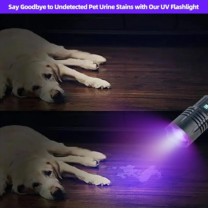 Zoomable 365nm UV Flashlight - High Lumen Rechargeable Tactical Blacklight, Bright Handheld Detector for Rock Hunting/Resin Curing/Pet Urine/Scorpion Tracking, Waterproof Camping Flash Light