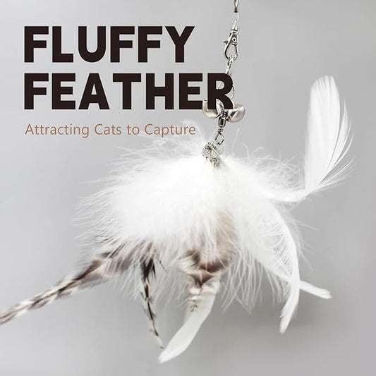 SONGWAY Cat Wand Toys for Indoor Cats - Cat Toy Set with Retractable Teaser Wand and 6 PCS Feather Toy Refills, Dragonfly Tassel Cat Toys Interactive, Black