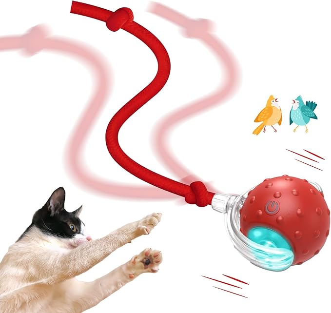 Interactive Cat Toys Ball for Indoor Cats, Automatic Fast Rolling Cats Toys to Keep Them Busy, Chirping & Motion Activated Moving Kitten Toy (Red)