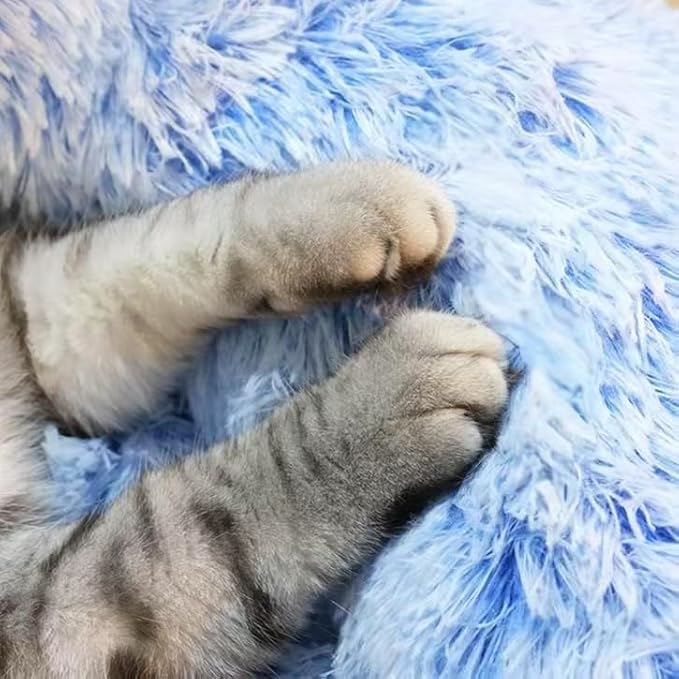 Cat Beds for Indoor Cats - Cat Bed Washable 20/24 inches, Dog Beds for Small Medium Dogs, Anti Anxiety Round Fluffy Plush Faux Fur Cat Bed, Thick Bottom (Cornflower Blue, Medium)