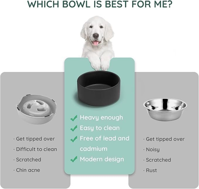 SPUNKYJUNKY 28.7OZ Ceramic Dog and Cat Bowl, Modern Cute Weighted Food Water Bowl for Replacement Black (2 Pack)
