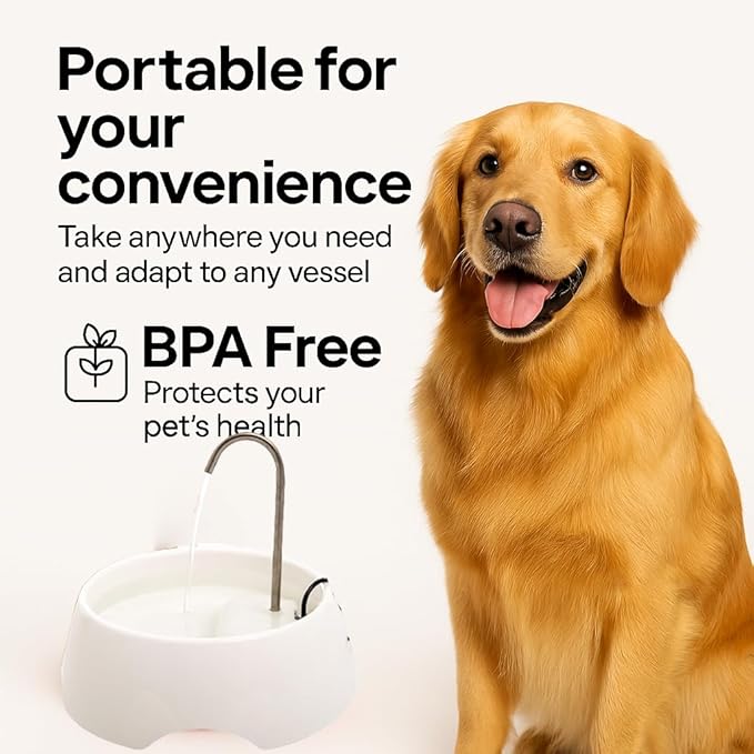 Aqua MINI Portable Pet Water Fountain - Automatic Drinking Bowl for Cats and Dogs - Stainless Steel Faucet - Replaceable Filters - Easy Cleaning - Ideal for Multiple Pets - 1.2L/42 fl oz - White