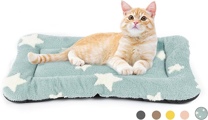 Mora Pets Cat Bed for Indoor Cats Washable Dog Crate Pad Cute Star Dog Bed Mat for Small Dogs Pet Kennel Pad for Cage Soft Flat Puppy Kitten Cushion for Sleeping Anti-Slip Blue 22 x 13