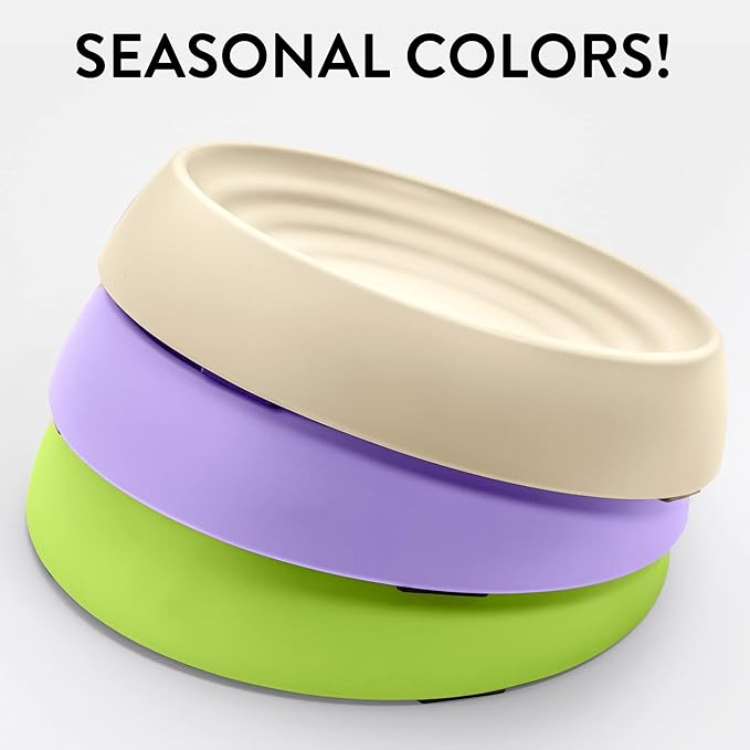 CatGuru Cat Bowls, Whisker Friendly Cat Food Bowl for Indoor Cats, Reliefs Whisker Fatigue, Wide Pet Bowl, Non Slip Pet Feeding Bowls, Shallow Kitten Dish (Set of 2, Sand)