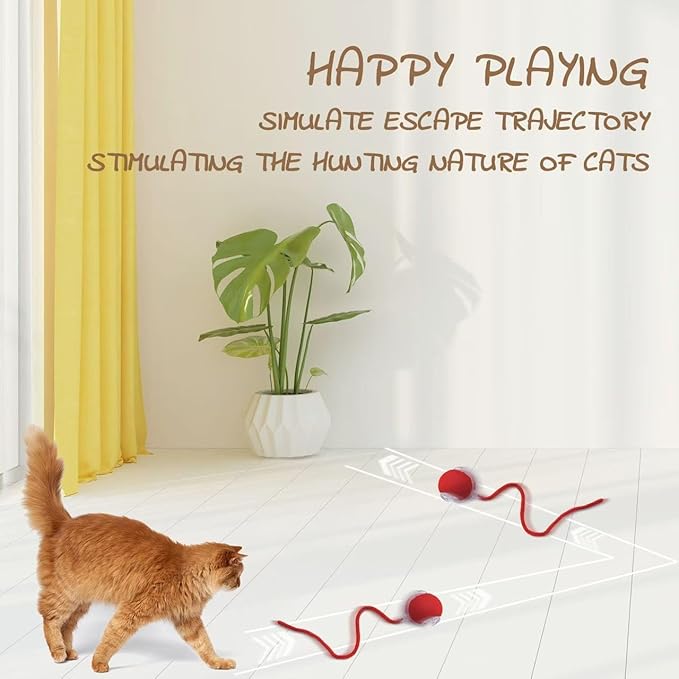 Interactive Rolling Cat Toy Ball, Chewie 360° Smart Automatic