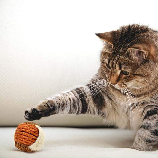 3Pcs Cat Toy Sisal Ball Pet Scratching Ball Chew Eco-Friendly Toy Pets Interactive Toy Bite and Wear Resistant(Random Color)