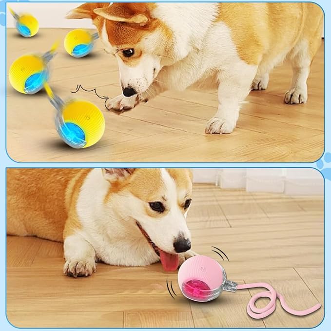 New Interactive Rolling Dog Ball, 360° Smart Interactive Pet Toy Ball, Self Rolling Cat Toys, Motion Activated Balls for Small Medium Dogs Cats (Blue)