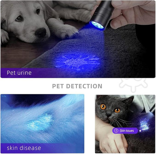 BEIKE UV Blacklight Flashlights, 12 LED 395nm Ultraviolet Blacklight (2 PCS) – Mini Portable UV Detector for Dog Urine, Pet Urine Detector Light for Stains, Bed Bugs, Resin Curing,Scorpions Finder