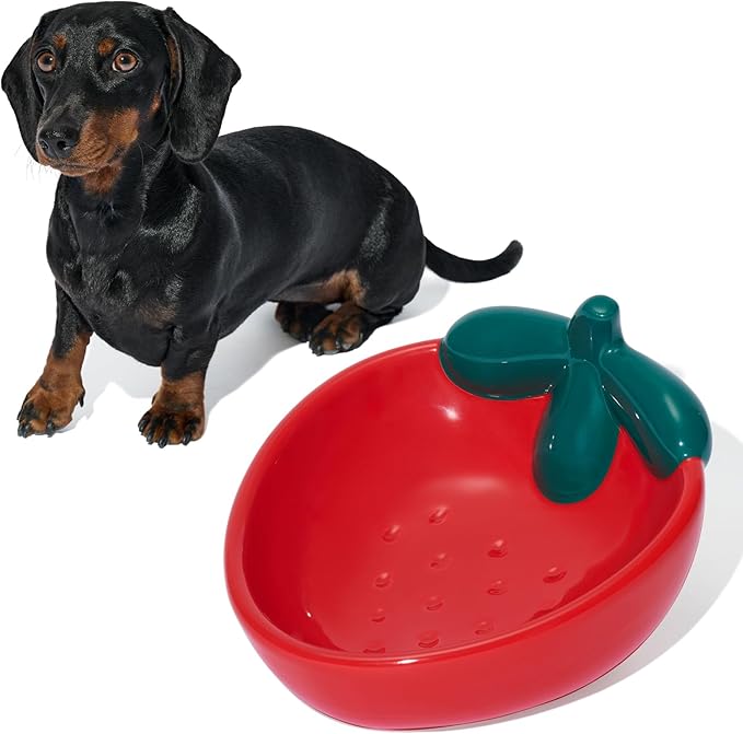 VETRESKA Ceramic Pet Bowl Tilted Design Pet Feeder for Food and Water Anti Vomit Cat Bowls for Indoor Cats Cute Strawberry Cat Bowl Dishwasher Safe