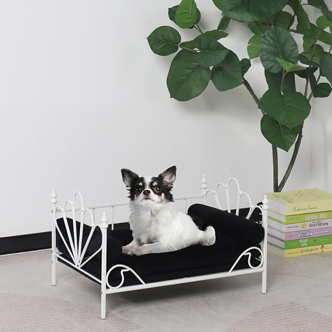 Pet Sofa Bed, Cat Bed,Dog Bed,Cat Couch,Pet Couch,Metal Frame and Detached Velvet Cushion,Cool Dog Couch for Small Cats &Dogs&Puppy Summer Using (White)