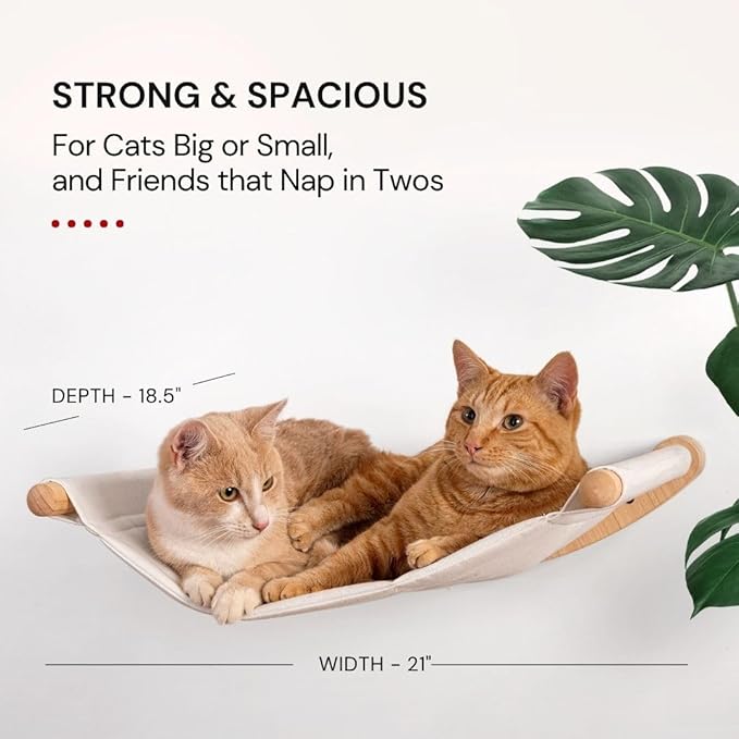 7 Ruby Road Cat Hammock Wall Mounted for Large and Indoor Cats or Kitty, Cute Bed Perch Shelf for Sleeping, Climbing and Lounging, Modern Shelves and Perches, Wooden Mount Cat Wall Furniture & Beds