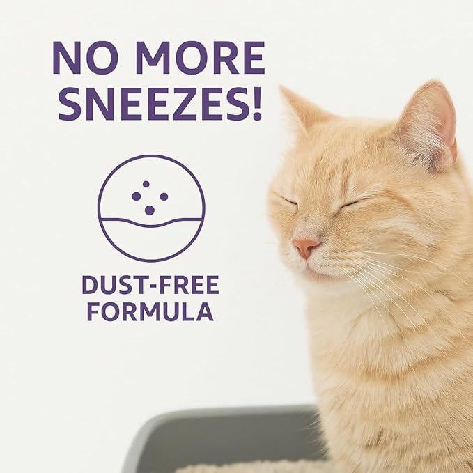Lavender Scented Cat Litter – 9.6 lb / 5L, Fast Clumping, Natural Odor Absorption, Lightweight Formula, Made with Turkish White Bentonite