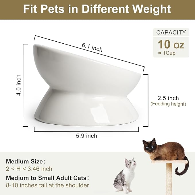 YauYik Cat Bowl Elevated Tilted - Ceramic Raised Cat Food Bowl for Cats and Small Dogs - 6 Inches Stress Free Whisker Friendly Pet Dish, Anti Vomit & Reduce Neck Burden Feeding, White, 10 Oz