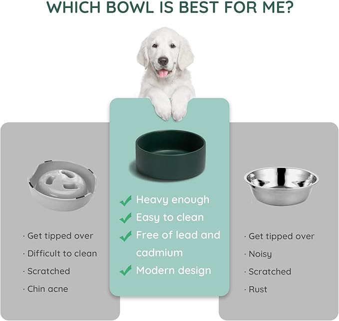 SPUNKYJUNKY 42OZ Ceramic Dog and Cat Bowl, Modern Cute Weighted Food Water Bowl for Replacement Green (2 Pack)