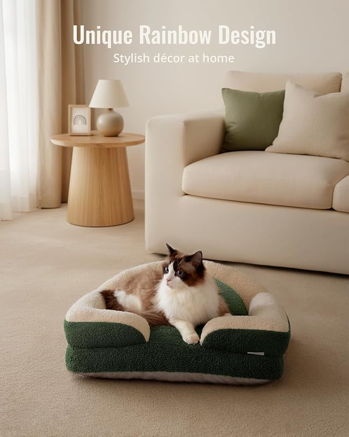 Blissful Diary Foam Cat Bed Small Size, Washable Pet Bed for Cats and Dogs, Soft Teddy Plush with Rainbow Design (Green)