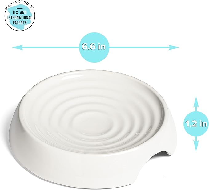 CatGuru Cat Bowls, Whisker Friendly Cat Food Bowl for Indoor Cats, Reliefs Whisker Fatigue, Wide Pet Bowl, Non Slip Pet Feeding Bowls, Shallow Kitten Dish (Set of 2, Ceramic, White)