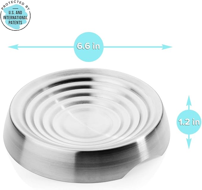 CatGuru Cat Bowls, Whisker Friendly Cat Food Bowl for Indoor Cats, Reliefs Whisker Fatigue, Wide Pet Bowl, Non Slip Pet Feeding Bowls, Shallow Kitten Dish (Stainless Steel)