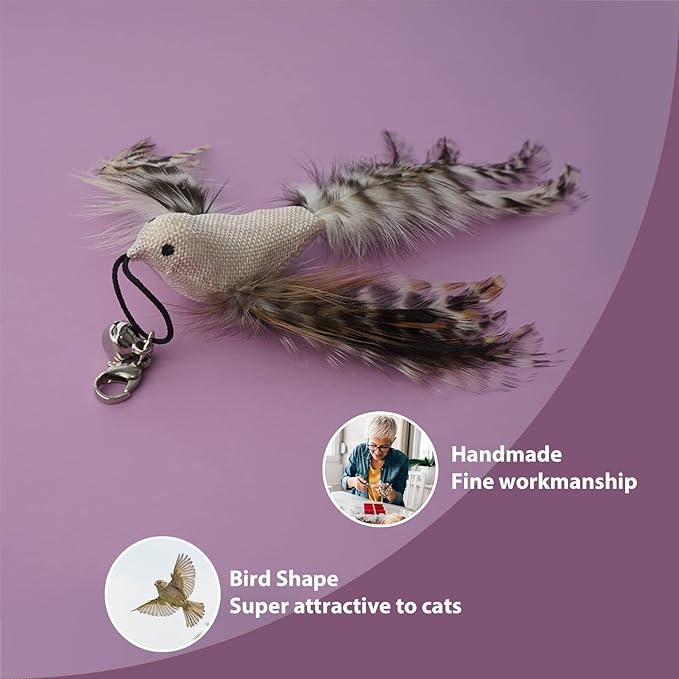 Update 2023 10 PCS Cat Feather Wand Toys With Bird & Butterfly for Indoor Cats and Kittens