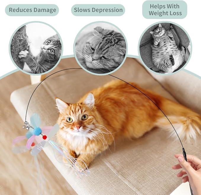 PAZ'S GIFT Cat Wand Toys, Interactive cat Feather Teaser Wand Toy with 2 Replacement Heads, Indoor cat Stick Toys