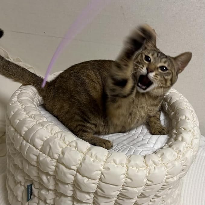 Catch Me If You Can! Silicone Cat Toy Teaser Wand β Durable, Easy-to-Clean Interactive Toy for Active Cats, Safe with Natural Predator Mimicking Movements