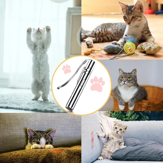 Laser Pointer Cat Toys (Silver)