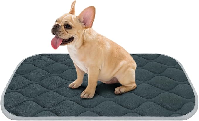 furrybaby Dog Bed Mat Flat Crate Mat with Anti-Slip Bottom Machine Washable Pet Kennel Pad for Dog Sleeping (M 30x19'', Grey Mat)