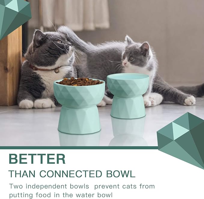 Frewinky Ceramic Cat Bowls Anti-Vomiting - Raised Food and Water Bowl Set for Cats and Small Dogs, 13.5 Oz, Green