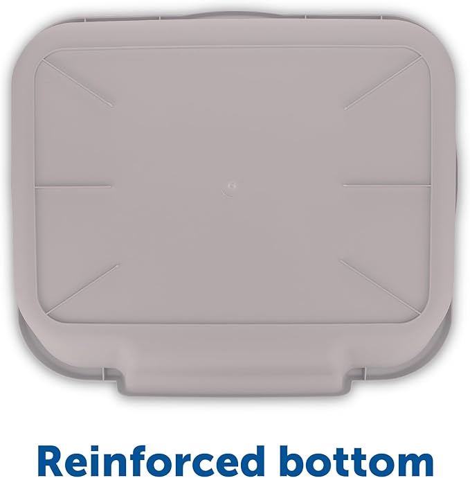 KittyGoHere Senior Cat Litter Box 2 Pack, Large Misty Gray Low Entrance Kitty Litter Box, Sized for Cats Comfort, Perfect for Senior and Arthritic Cats, Made in USA – Includes Long-Handle Jumbo Scoop