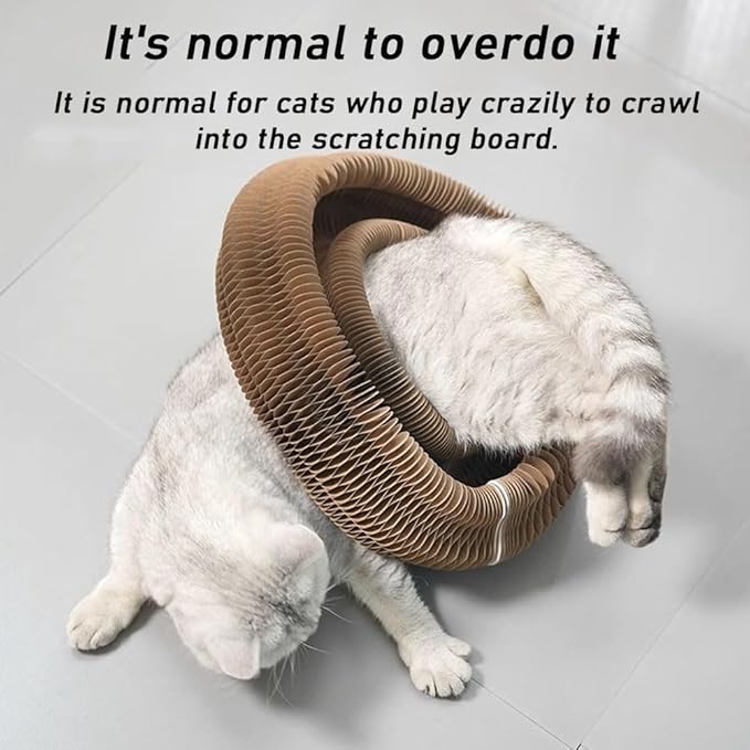 Claw Coil for Cats, Claw Coil, Cat Scratching Board with Bell, Magnetic Suction Interactive Indoor Playboard, Corrugated Paper, Does Not Take Up Space (B)