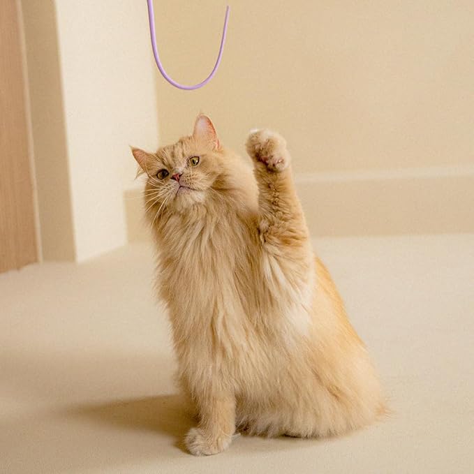 Catch Me If You Can! Silicone Cat Toy Teaser Wand β Durable, Easy-to-Clean Interactive Toy for Active Cats, Safe with Natural Predator Mimicking Movements