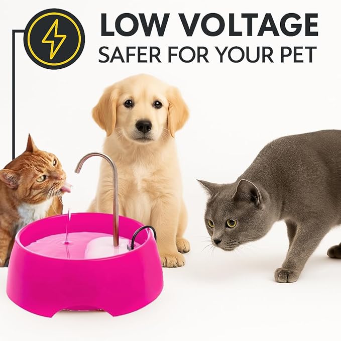 Aqua MINI Portable Pet Water Fountain - Automatic Drinking Bowl for Cats and Dogs - Stainless Steel Faucet - Replaceable Filters - Easy Cleaning - Ideal for Multiple Pets - 1.2L/42 fl oz - Pink