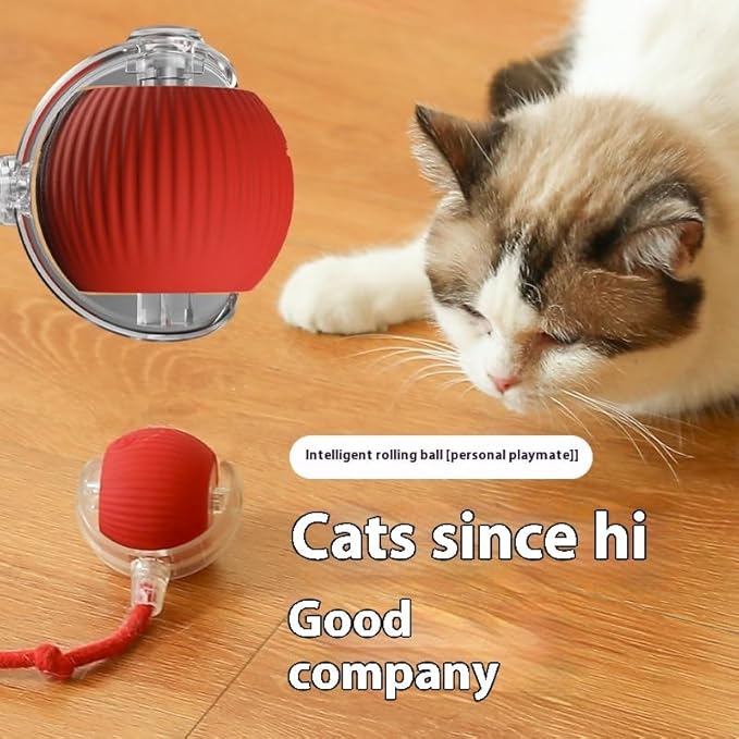 Interactive Cat Ball Toys for Indoor Cats,The 3rd Generation Agile Moving Cat Ball with Elastic Mesh Tail,Automatic Kitten Toys for Bored Indoor Adult Cats,Motion Activated (1pcs of Pack)