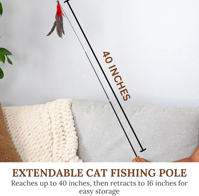Cat Toys Set Cat Fishing Pole Retractable Wand Suction Cup & Hanging Teaser Wand for Indoor Cats & Kittens Feather Attachments Ribbon