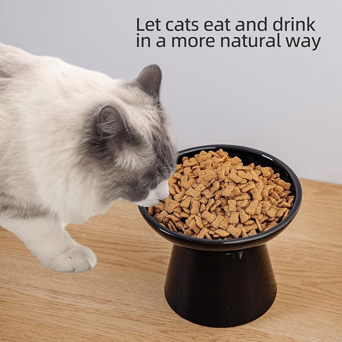 6.2 Inch Extra Wide Elevated Ceramic Cat Bowls, Food and Water Bowl Set for Elder Big Cats Small Dogs, Raised Design for Pet Easy Eating, Protect Cat's Spine Set of 2(Black)
