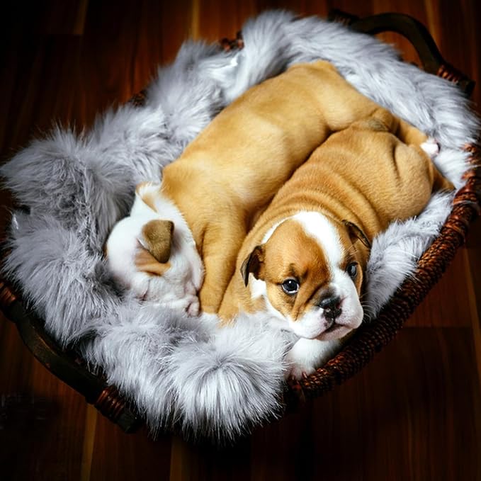 Fluffy Dog Cat Bed Mat 19.6x31.4 inch, Washable Soft Plush Faux Fur Warm Area Puppy Pads Blanket for Indoor Pet Sleep Cushion Grey