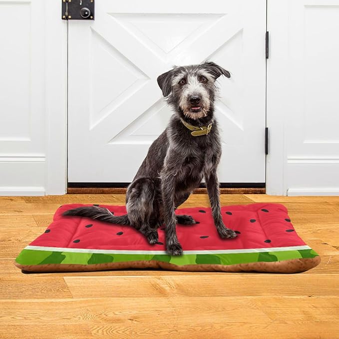 Pet Bed Watermelon Fruits Dog Bed Mat Absorbing Non Slip Pad Pet Sleeping Mat for Small, Medium, and Large Dogs Puppy Cat 36 in x 24 in