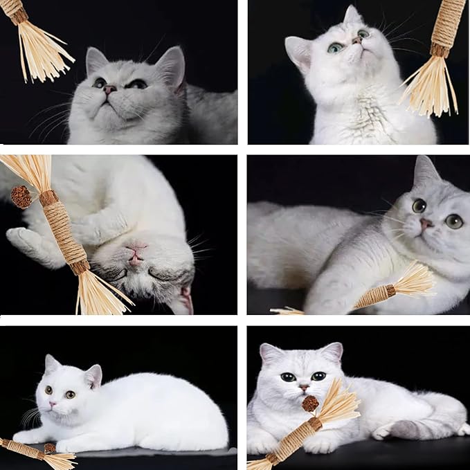 Cat Toys,3PCS Kitten Toys for Indoor Cats Catnip Toy for Chewing Silvervine Stick for Cleaning Teeth Kitty Dental Treat Interactive Toy Kitty Snack Self Play Wand Cat Mint Lick
