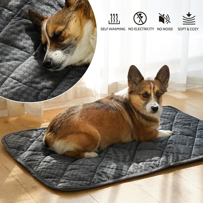ARGOPET Self Warming Cat Bed (20"x16") Self Heating Cat Mat Warm Thermal Pet Pad with Anti-Slip Bottom Machine Washable Dog Crate Pad for Outdoor and Indoor Pets.