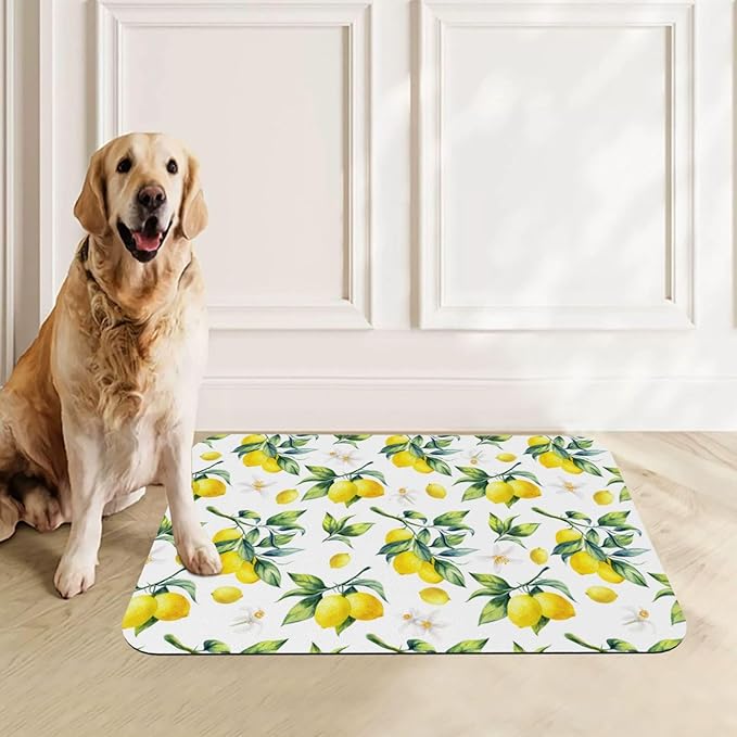 Tropical Lemon Leaves Dog Food Mat Absorbent Bowl Mats No Stains Quick Dry Waterproof Pet Cat Placemats for Food and Water, 30x45cm