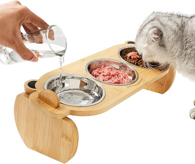 Tilted Elevated Cat Food Bowls Set: Raised Pet Dishes for Cats & Puppy with 15°Tilted Bamboo Stand, Stainless Steel Food & Water Bowl and Pet Feeding Mat | Anti Vomiting (3 Bowls | Little Monster)