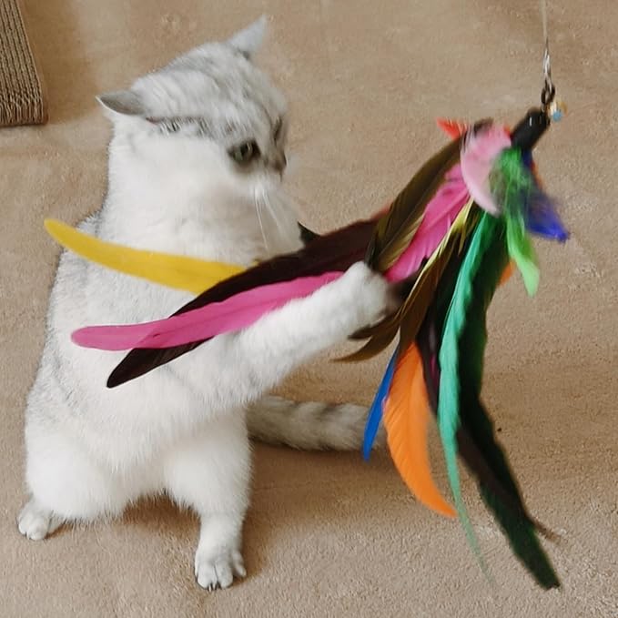 Da Bird Feather Refill - 2 Extra-Large Natural Replacement Attachments(13.8inch) and 4 Feather Toys Refills(5.8inch) for Indoor Cats,Cat Wand Attachment (6PCS)