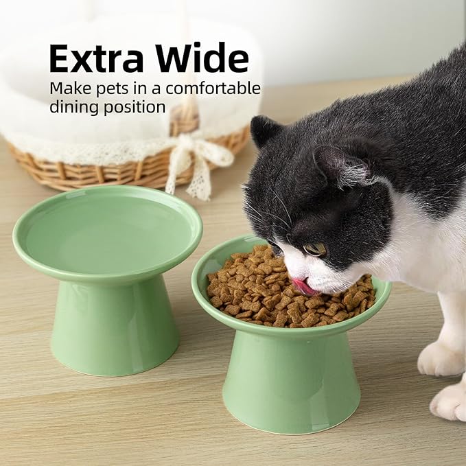 6.2 Inch Extra Wide Elevated Ceramic Cat Bowls, Food and Water Bowl Set for Elder Big Cats Small Dogs, Raised Design for Pet Easy Eating, Protect Cat's Spine Set of 2(Light Green)