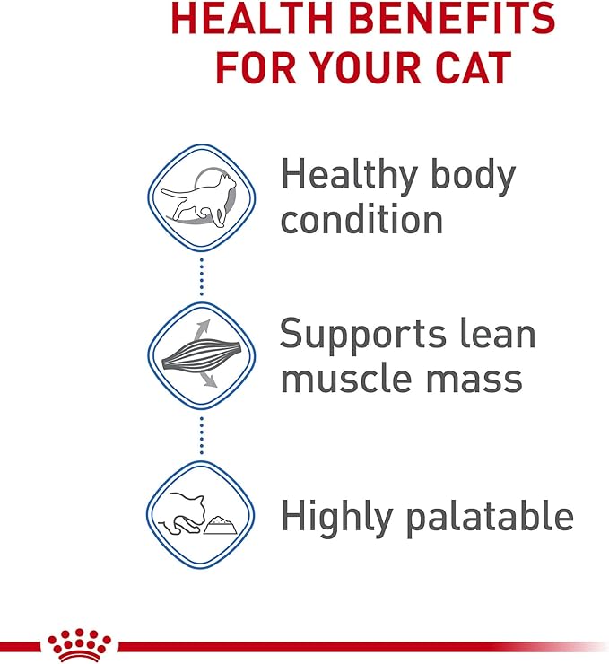 Royal Canin Feline Weight Care Thin Slices in Gravy Canned Adult Wet Cat Food, 3 oz can (24-count)